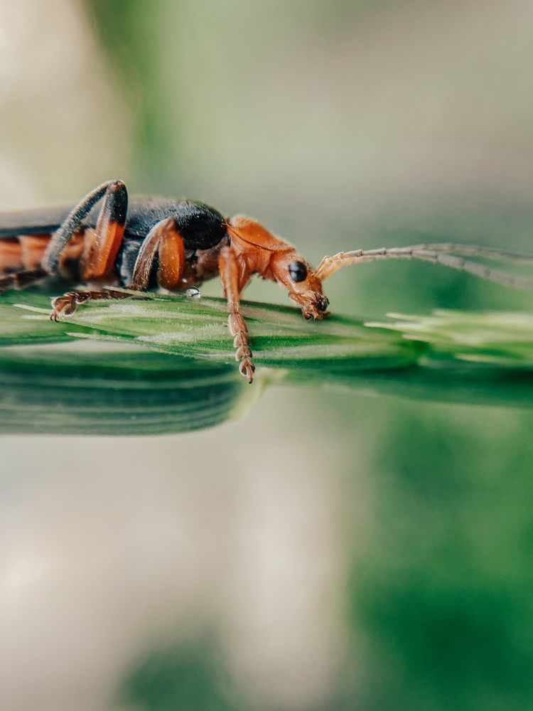 Photograph by Кристина Ивлева