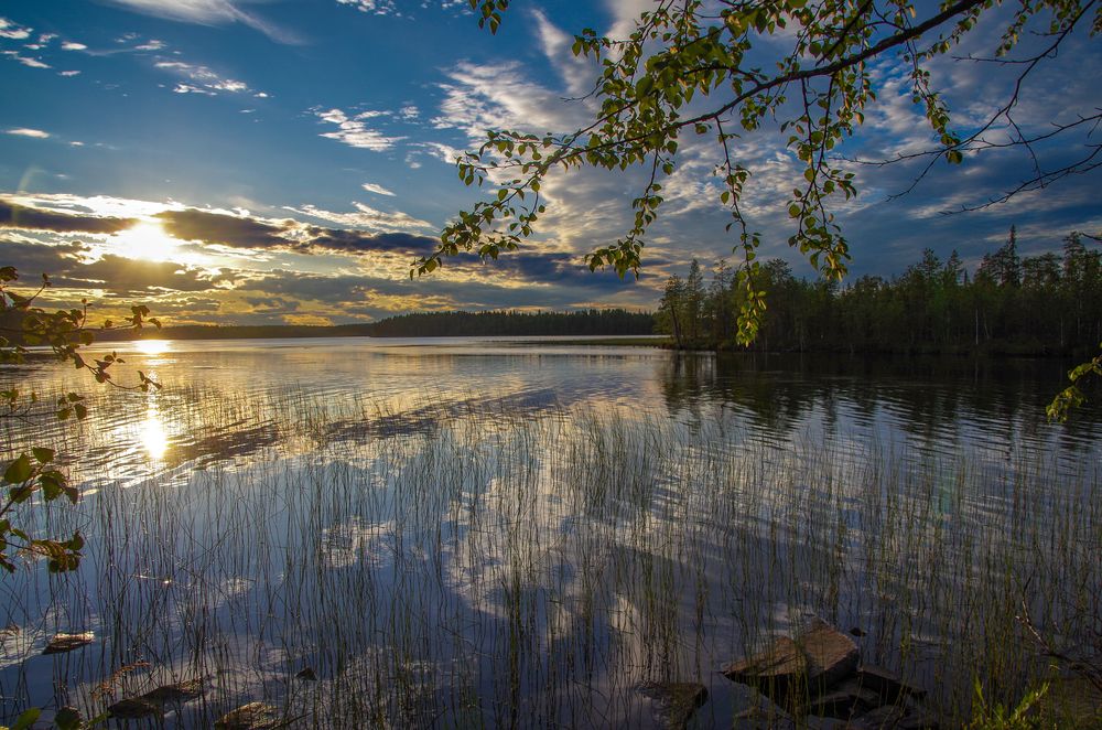 Photograph by Владимир Кузнецов
