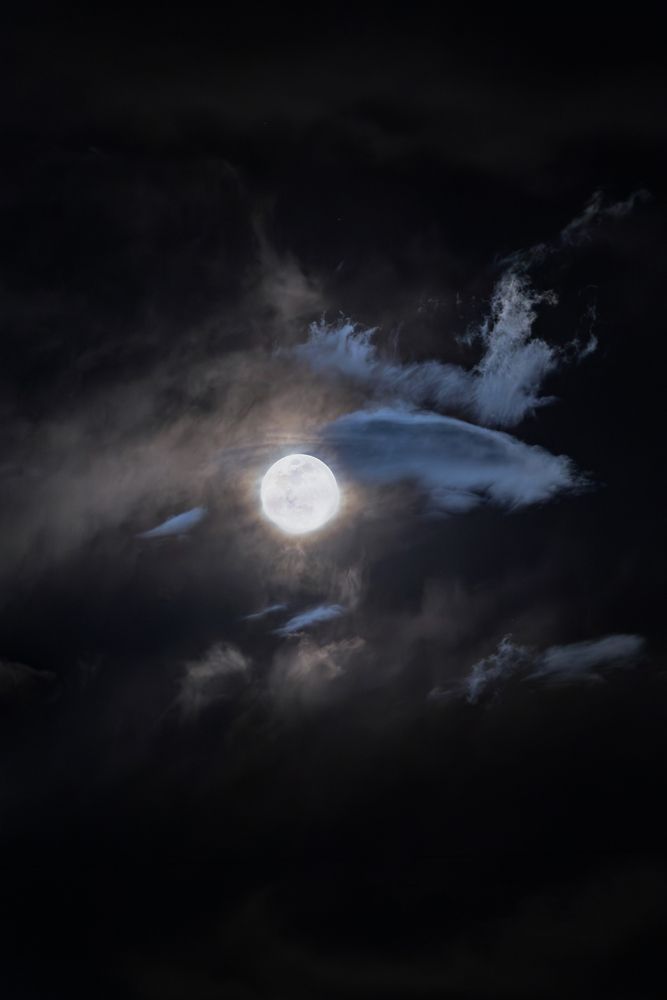 Moon Eye