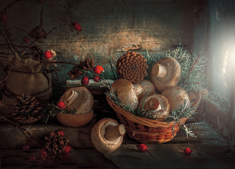 Фотография автора Багриновская Наталия