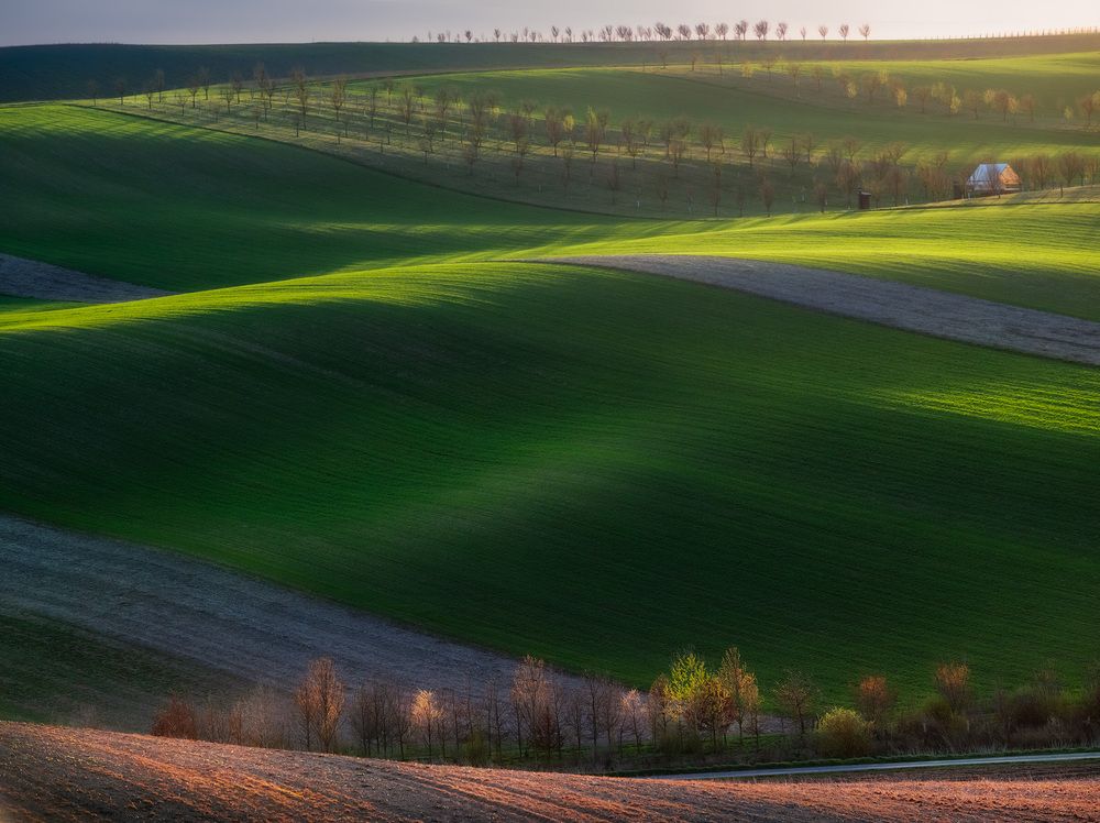 Photograph by Karádi Zita