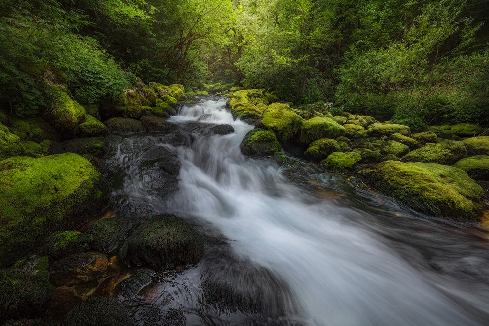 Photograph by Karádi Zita