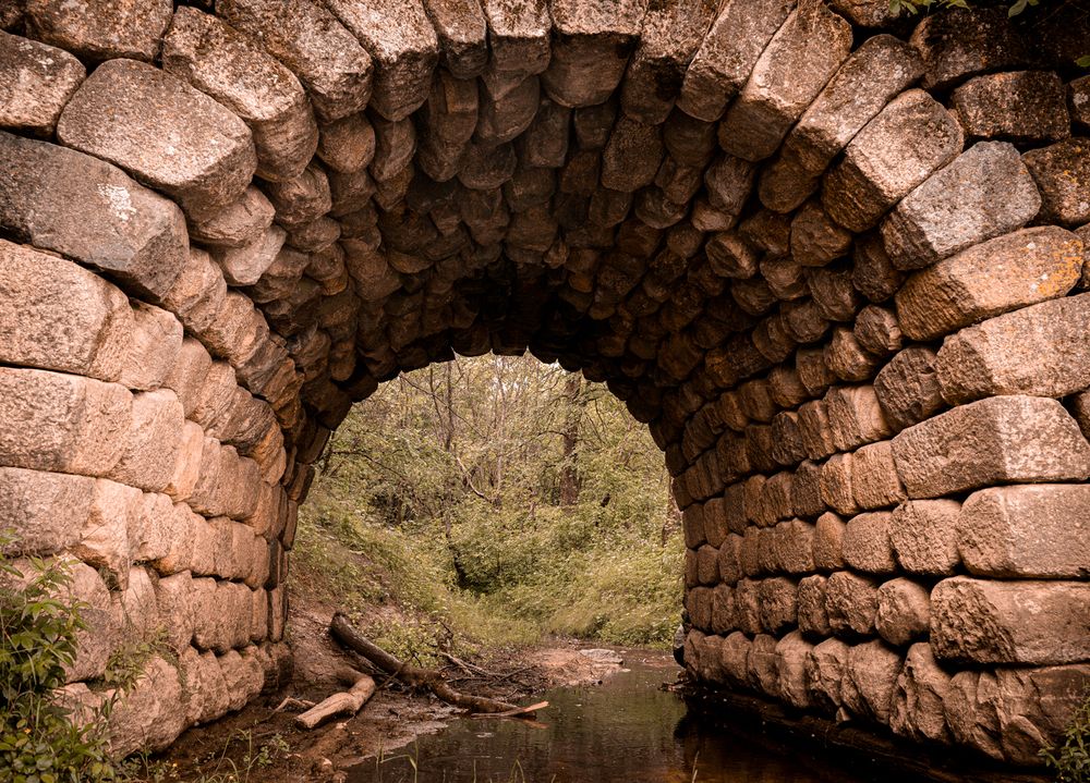 Photograph by Светлана Шахин