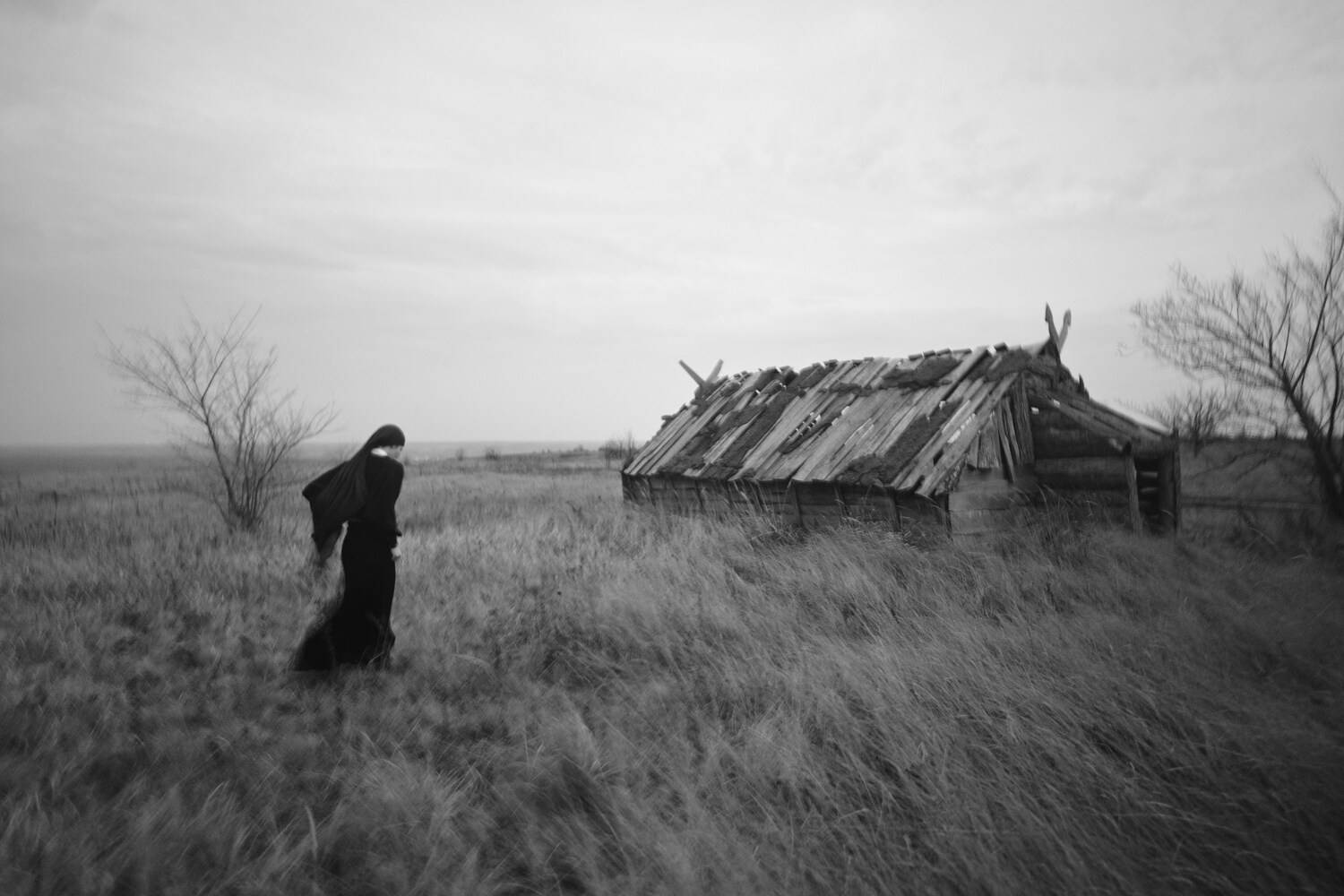 Between Black and White in Kostenki