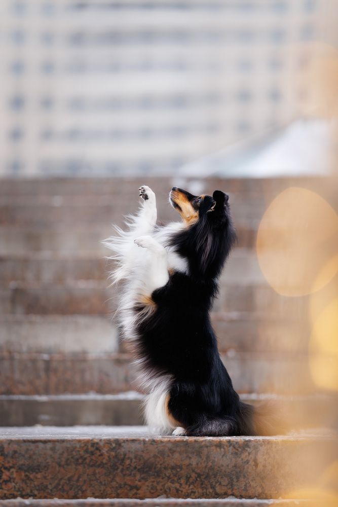 Photograph by Татьяна Фролова