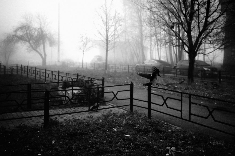 Фотография автора Александр Гува