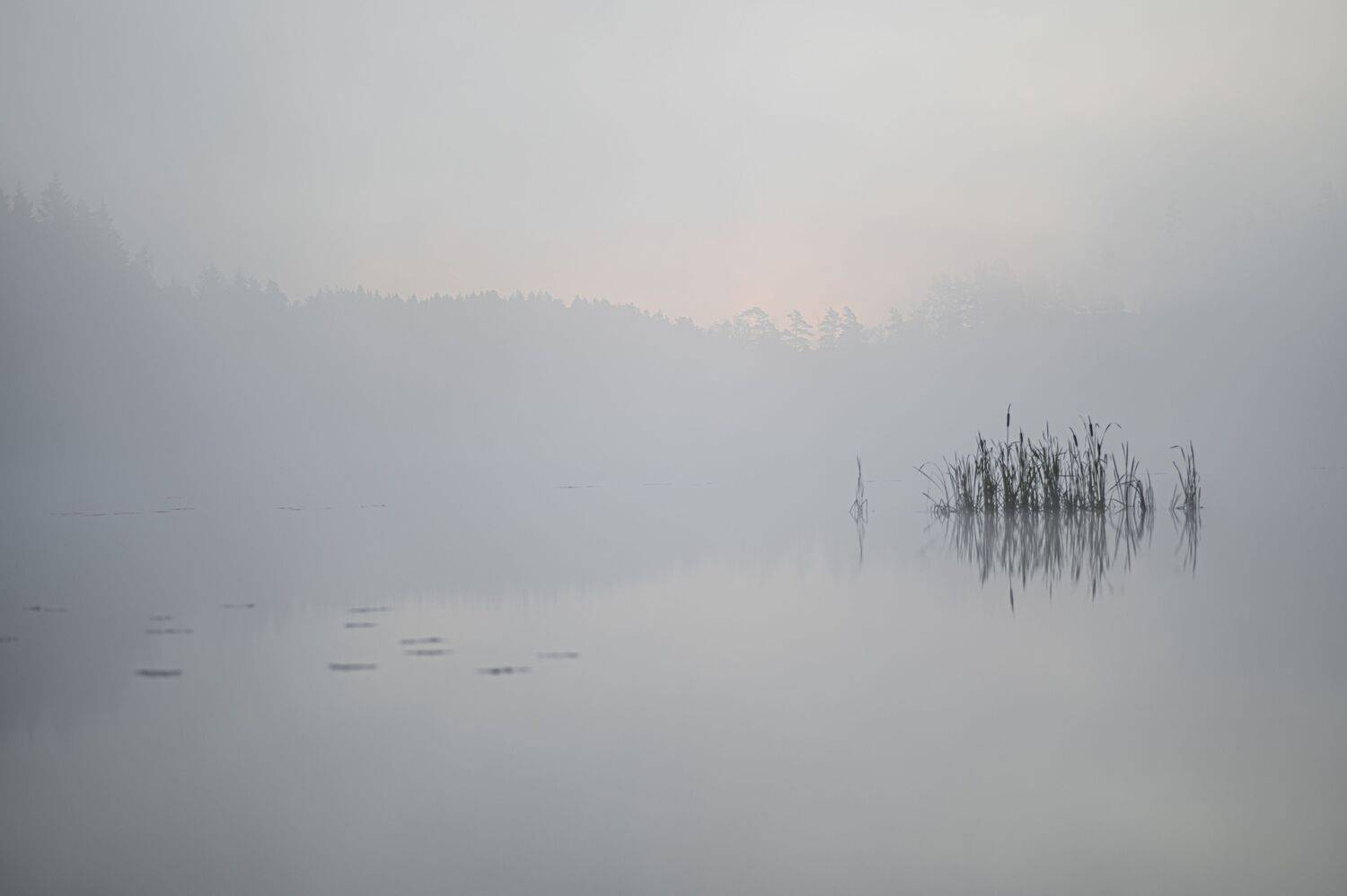 Photo #13390453