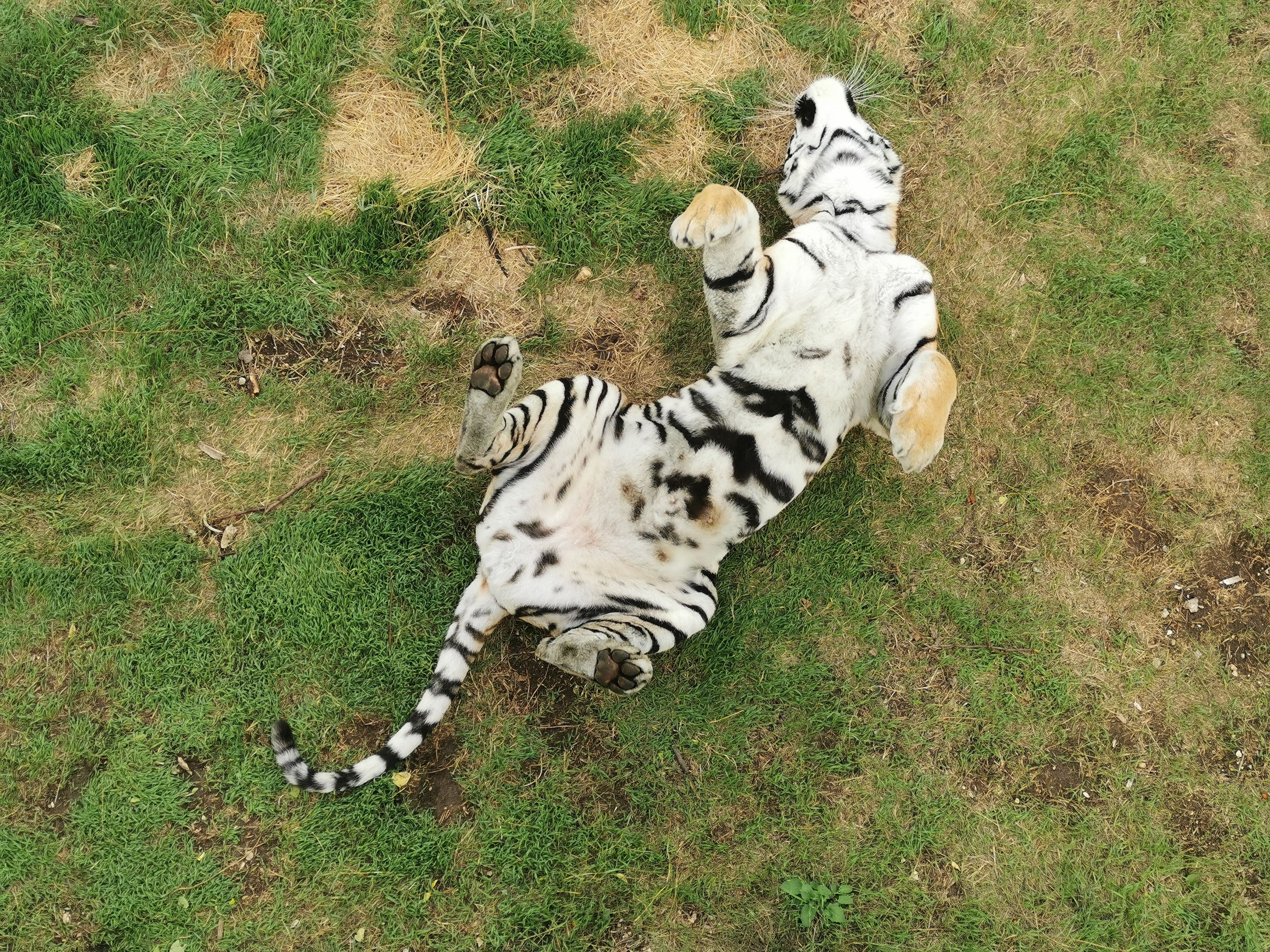 Photograph by Ольга Попченко