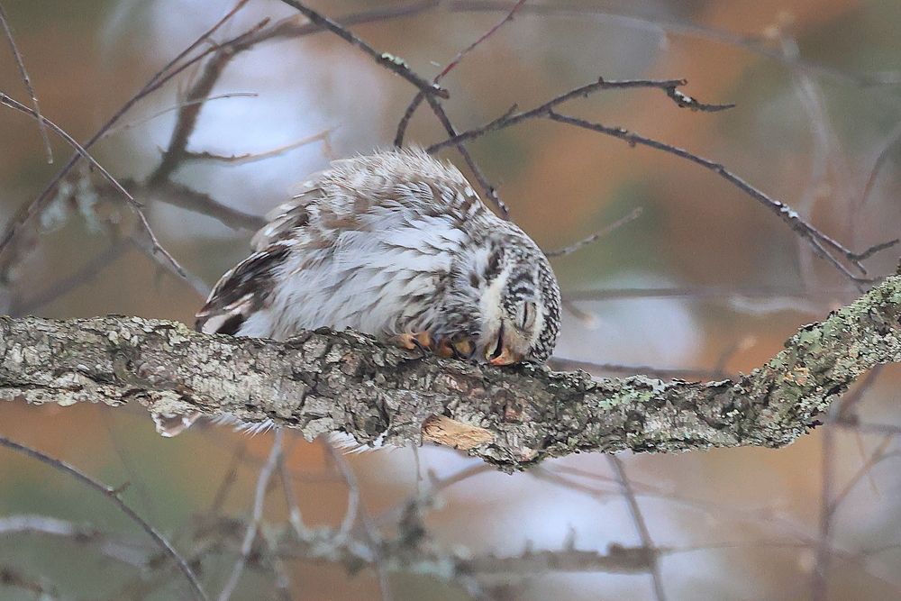 Photograph by Владилен Панченко