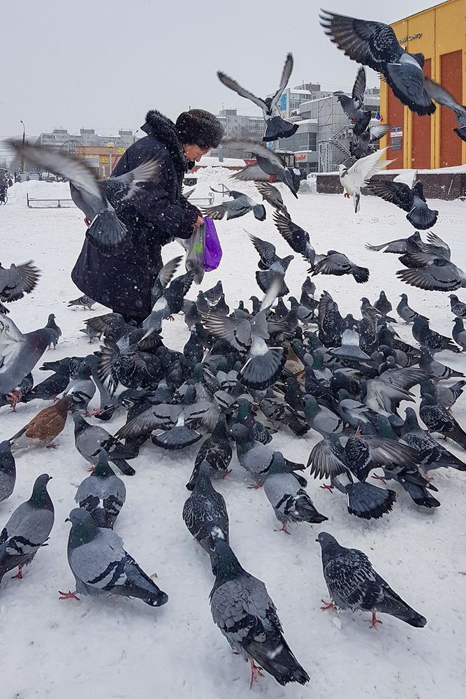 Photograph by Надежда Хрусталёва