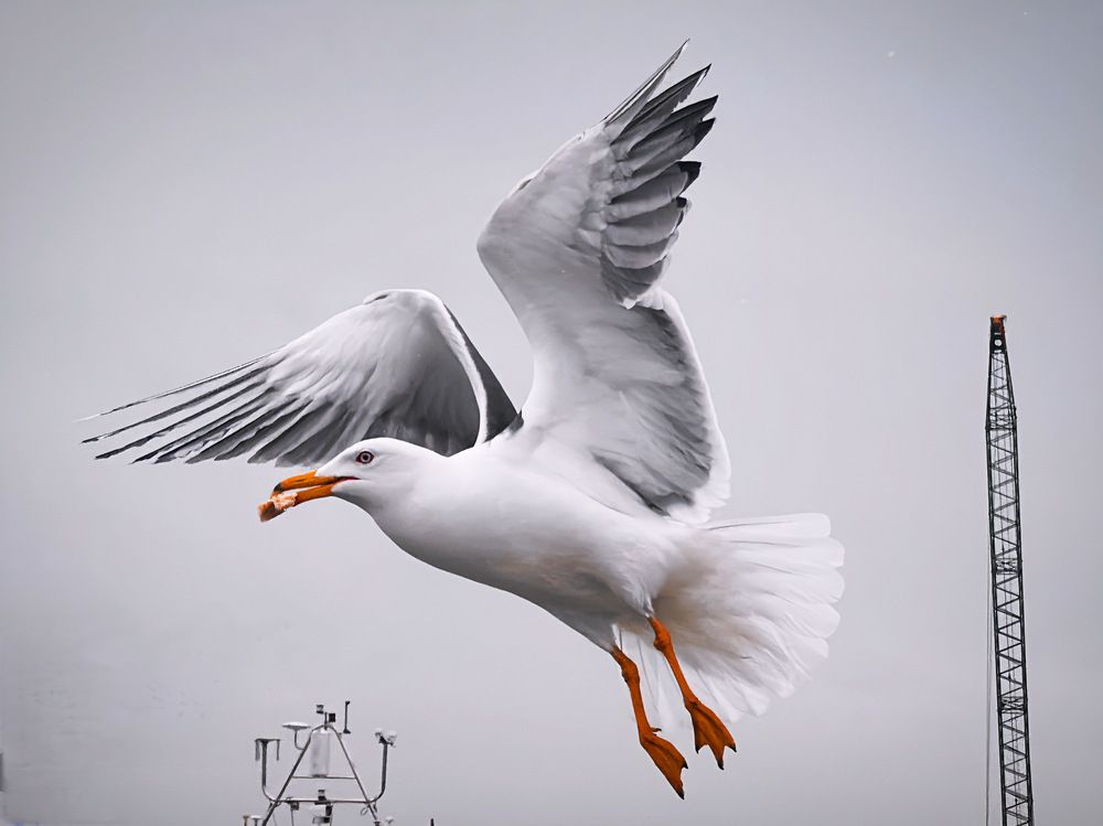 Photograph by Kateryna Tytar