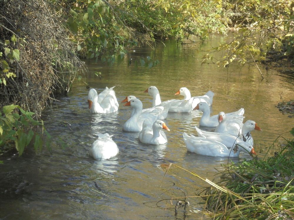 Photograph by Лилия Исхакова