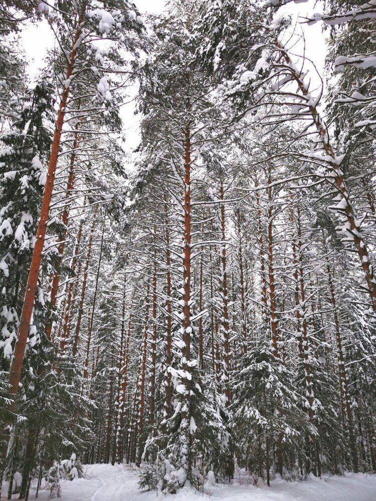 Photograph by Андрей Богданов
