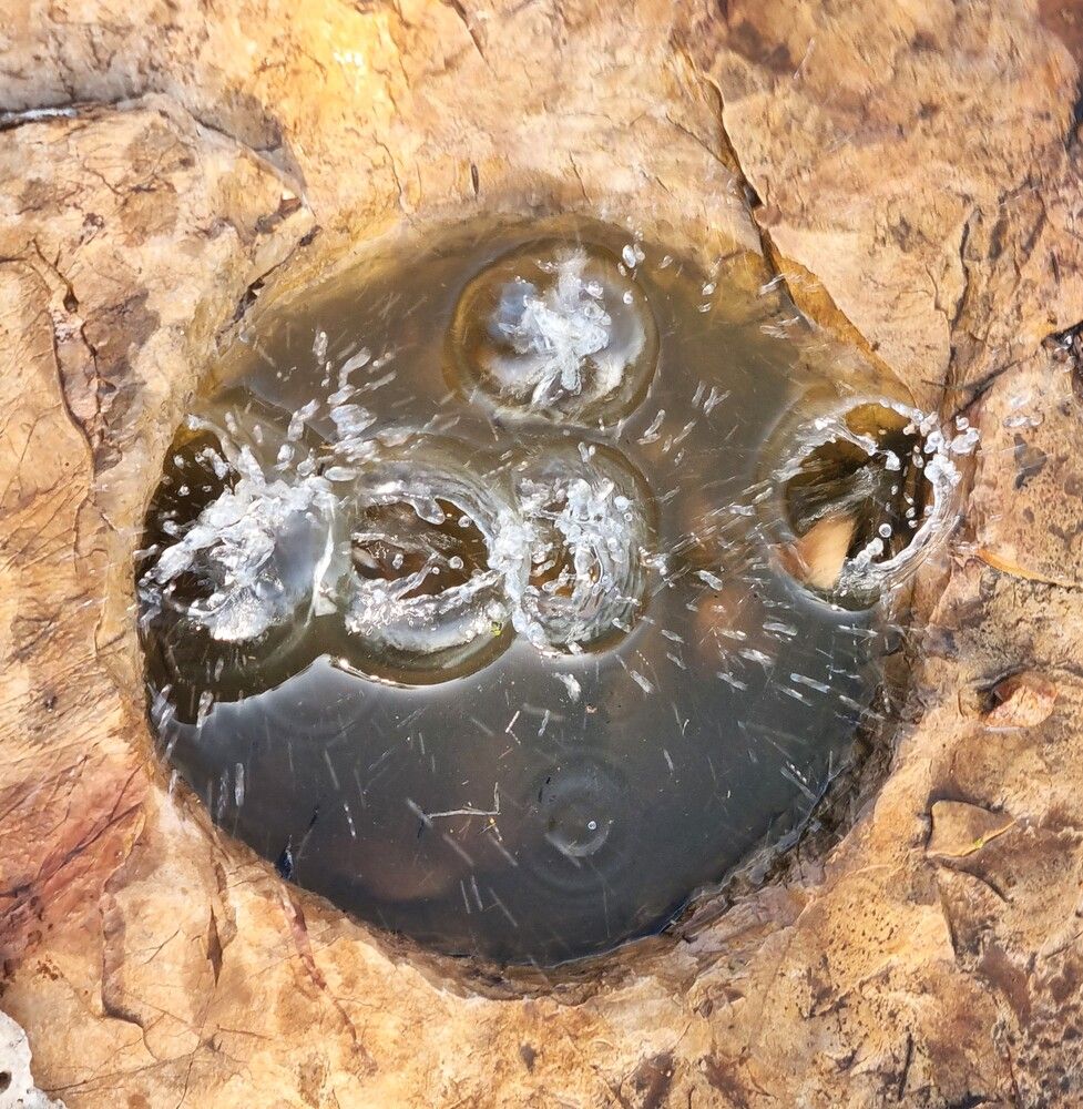 Photograph by Ася Бабушкина