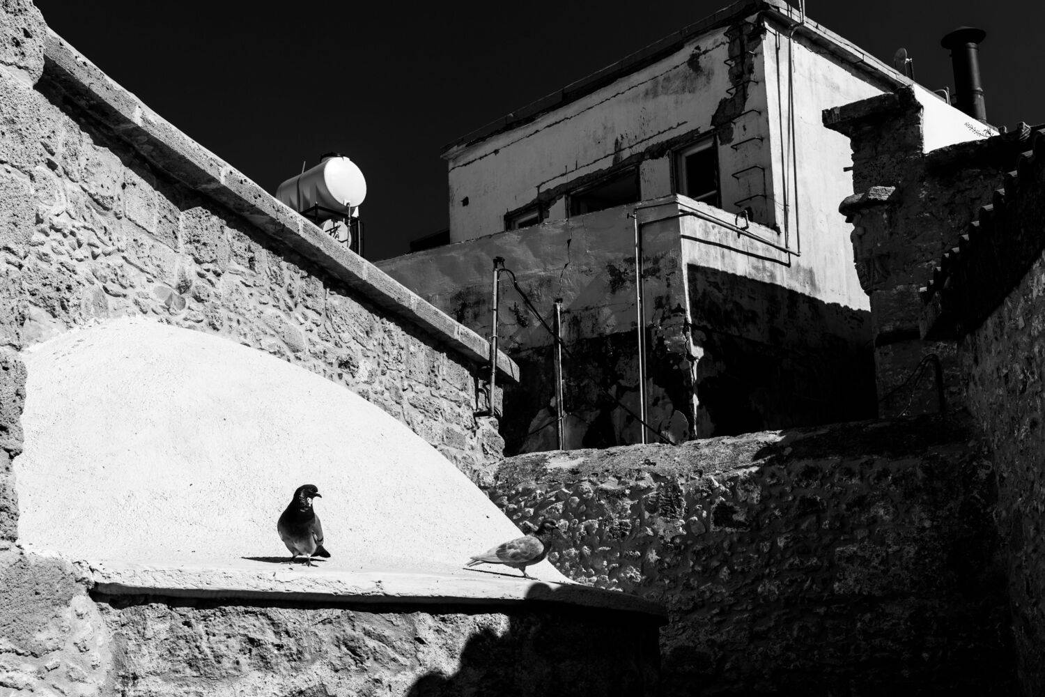 Photo #13390663