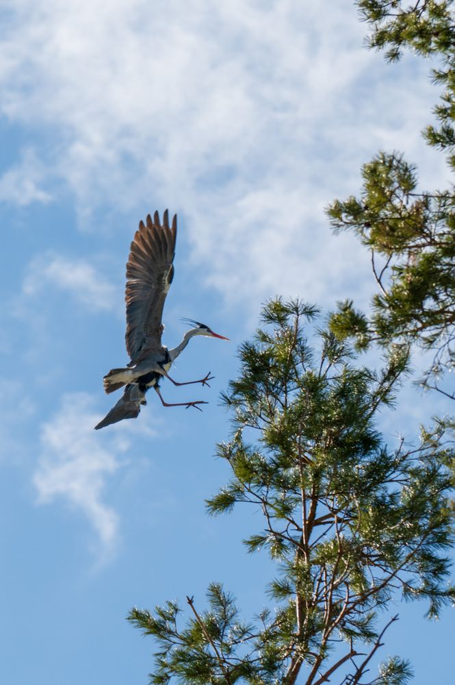Photograph by Алексей