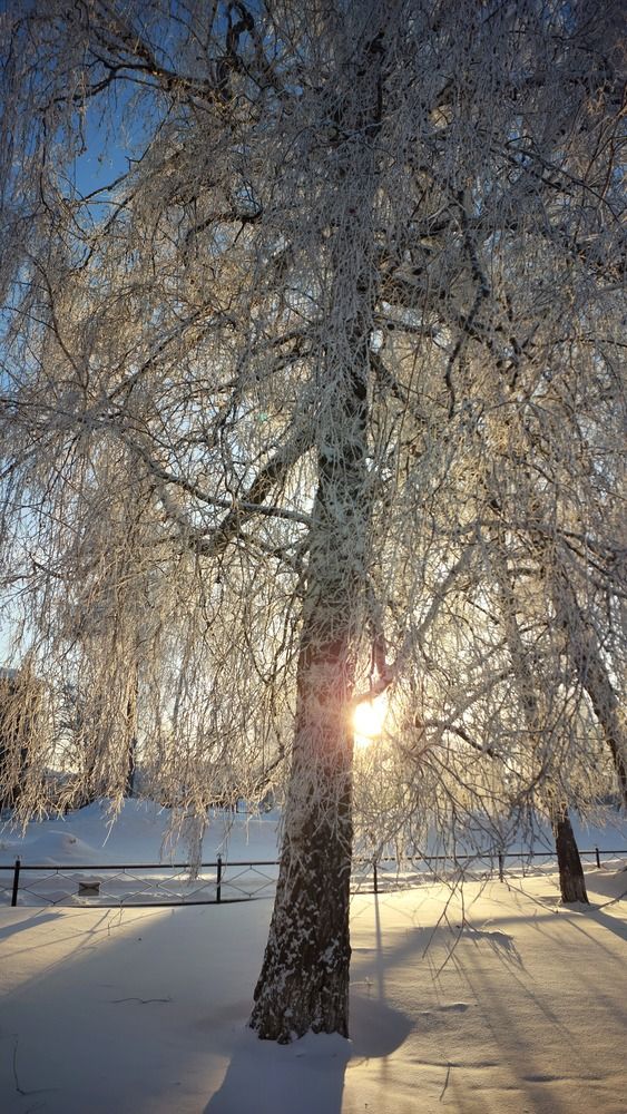 Солнце в закате.