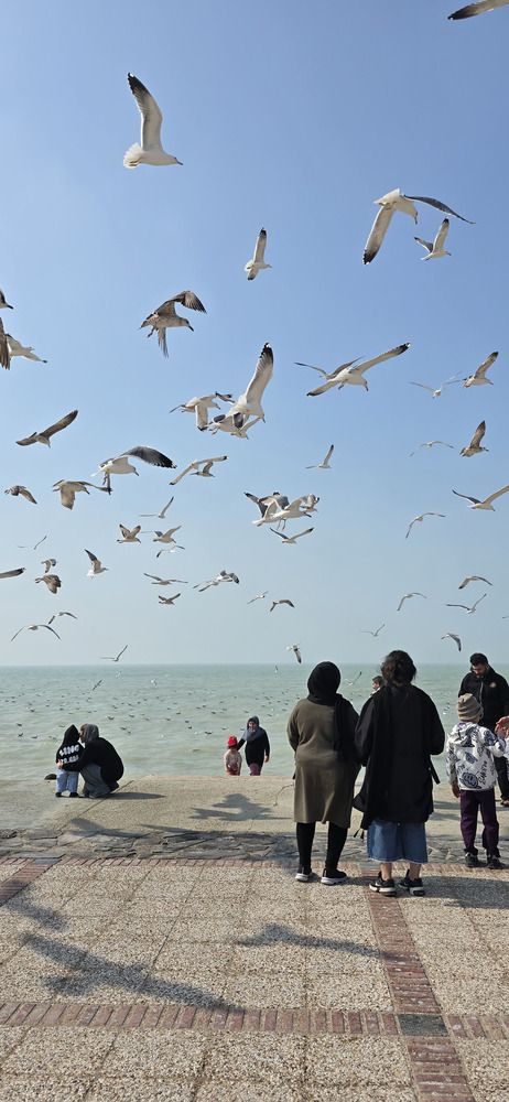 Photograph by behrooz roosta
