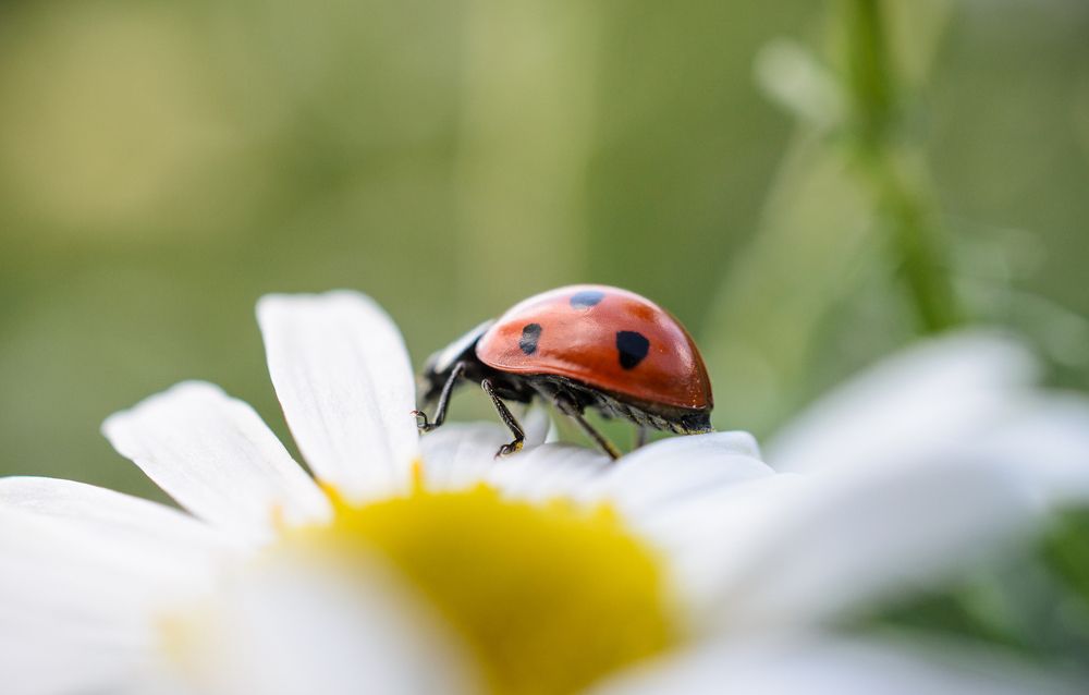 Photograph by Андрей Бондаренко