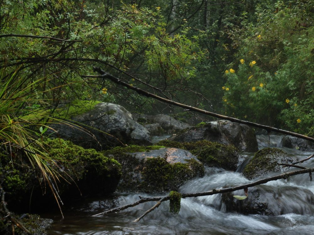 Photograph by Анастасия Ощепкова