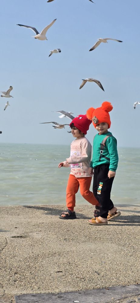 Photograph by behrooz roosta
