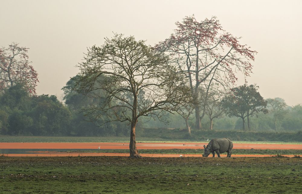 Фотография автора Prabhat Ghosh