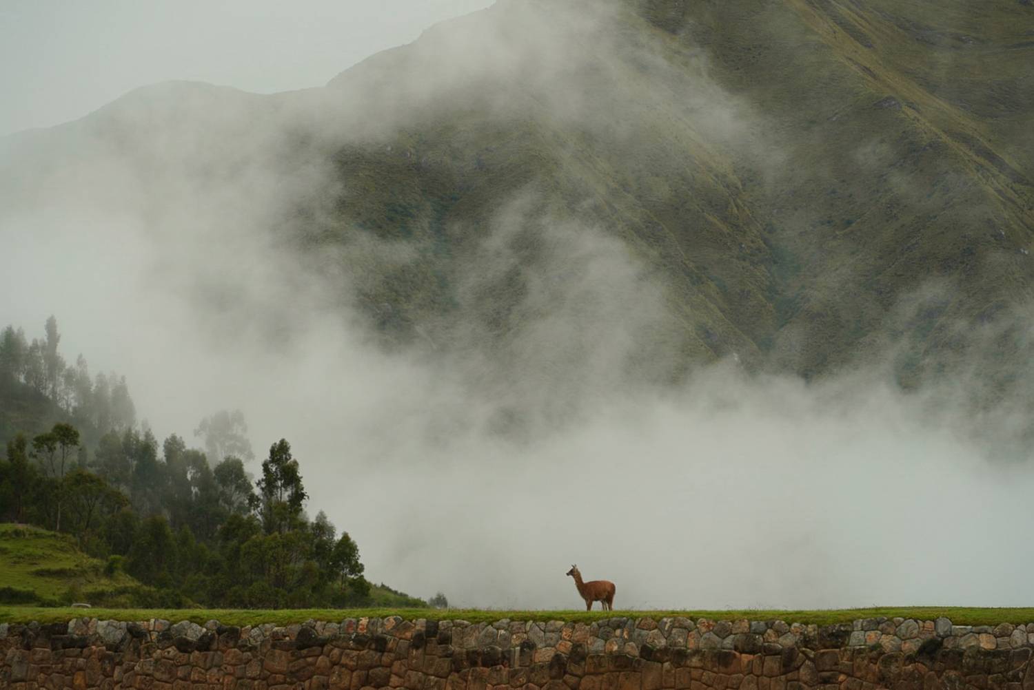 Photo #13390975
