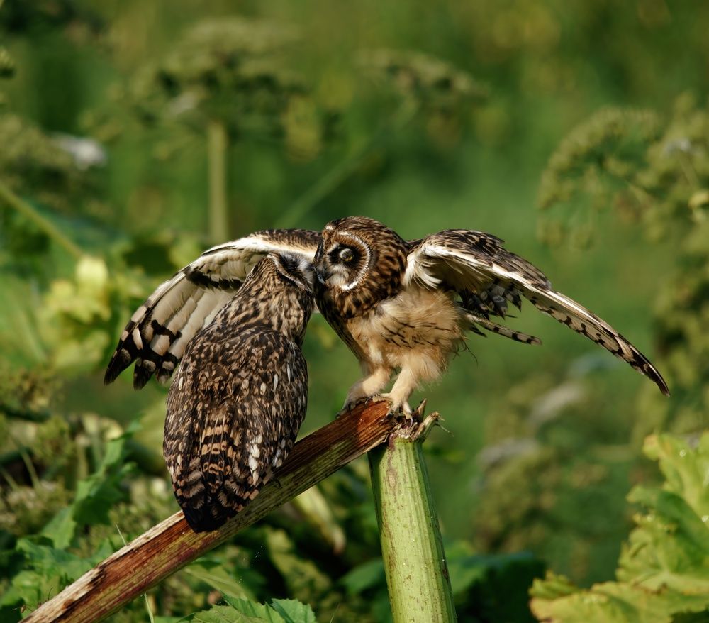 Photograph by Александр Велин