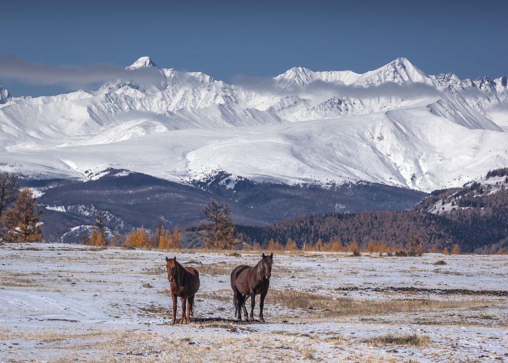 Photograph by Mark Devender