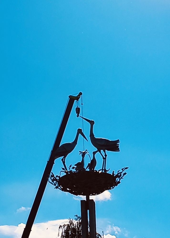Photograph by Ирина Ильина