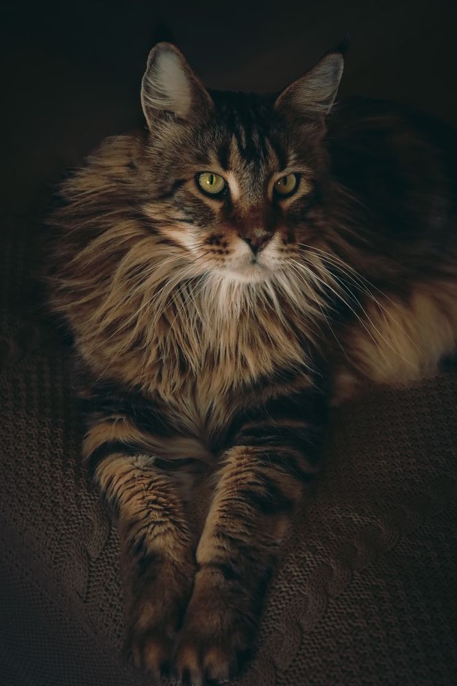 Photograph by Елена Твардовськая