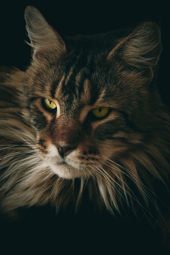 Photograph by Елена Твардовськая