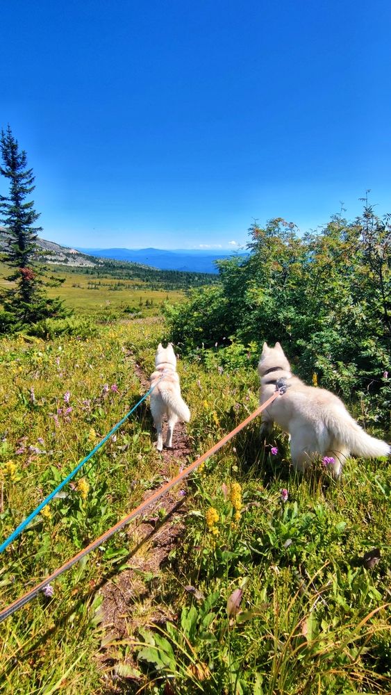 Photograph by Алина Перескокова