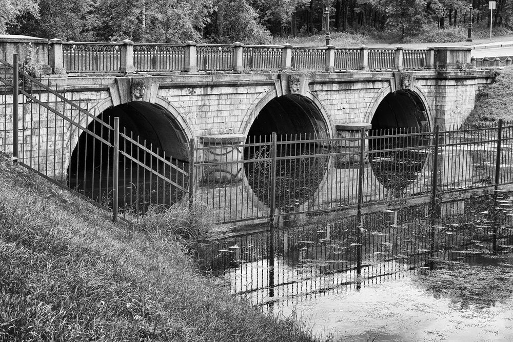 Фотография автора Дмитрий Иванов