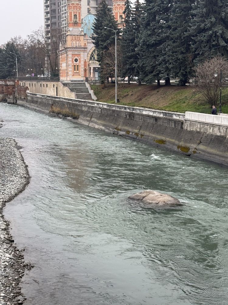 Photograph by Попова Елизавета Сергеевна