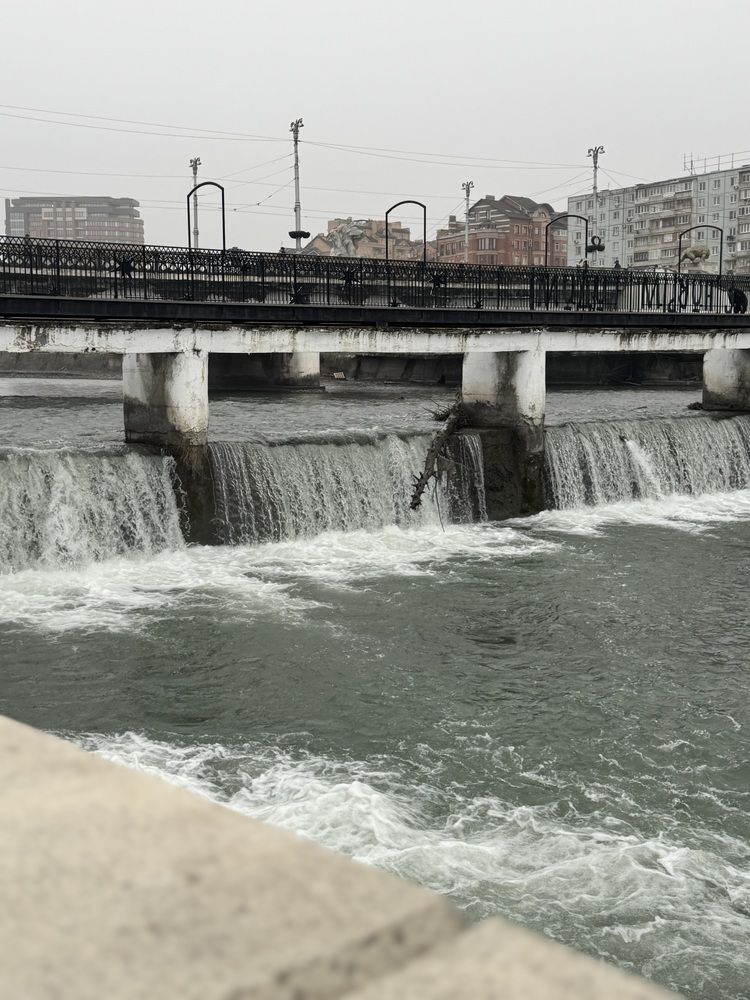 Photograph by Попова Елизавета Сергеевна