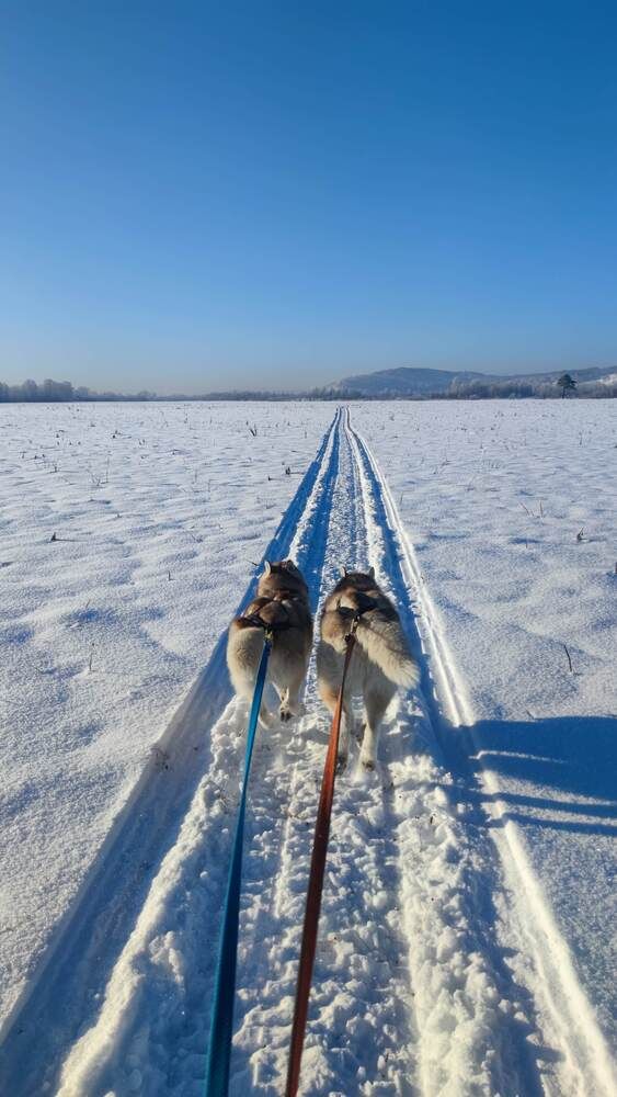 Photograph by Алина Перескокова