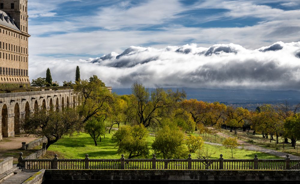 Осеннее утро