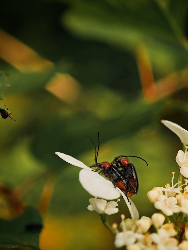Photograph by Татьяна Соколовская