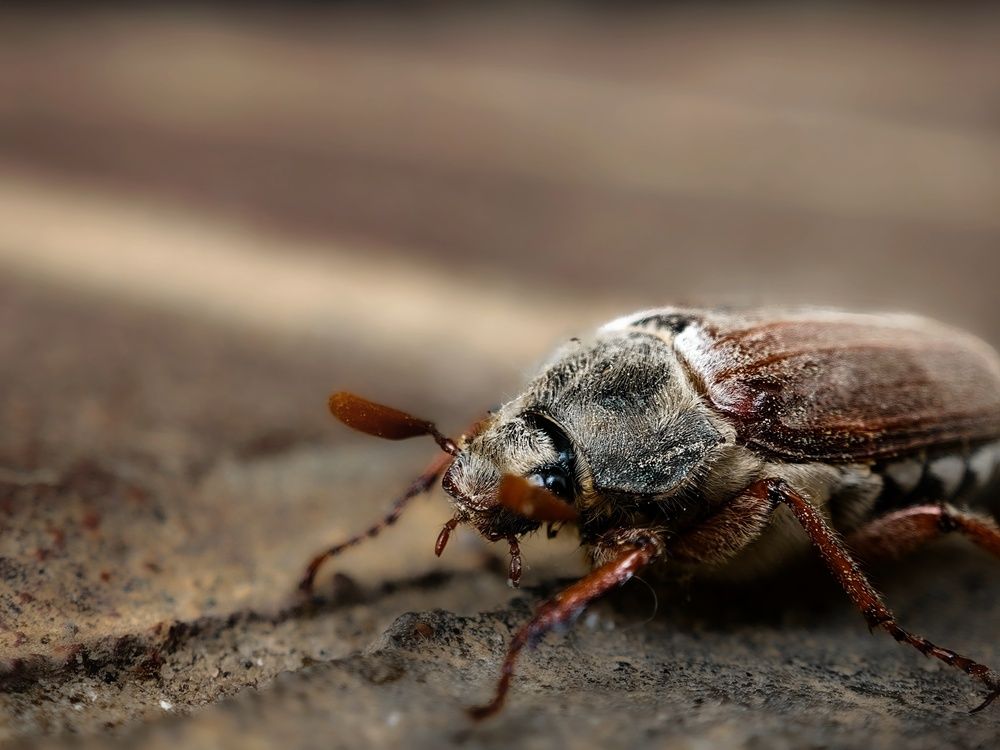 Photograph by Татьяна Соколовская