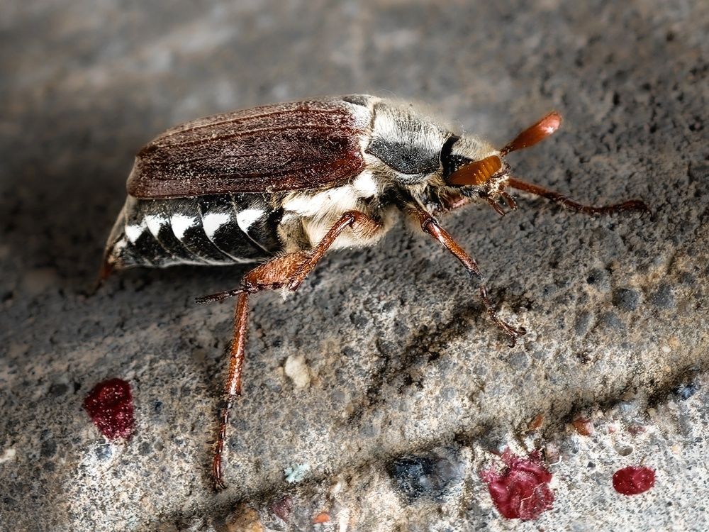 Photograph by Татьяна Соколовская