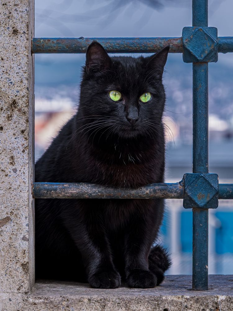 Photograph by Никита Борзов