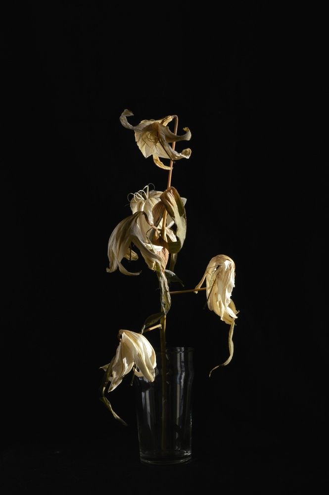 Photograph by Оксана Шенина