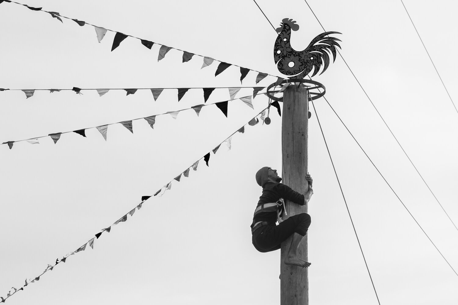 Photo #13391475