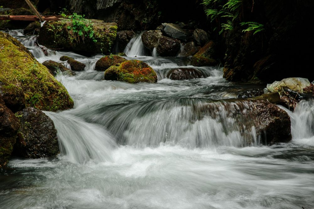 Photograph by Ксения Моисеенко