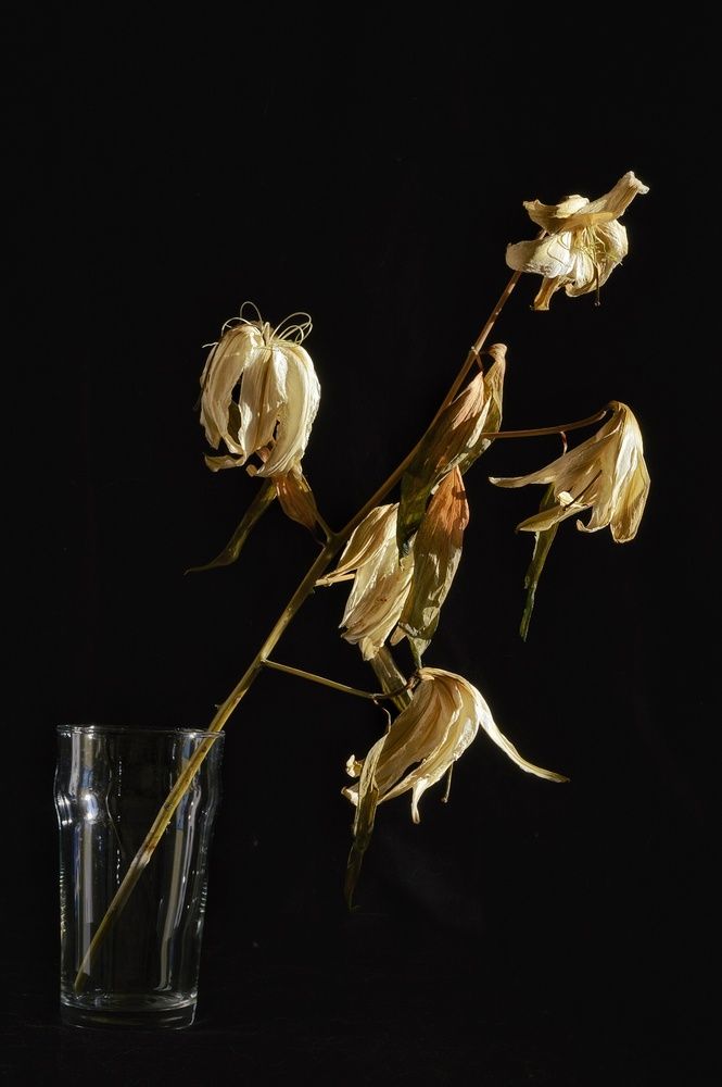 Photograph by Оксана Шенина