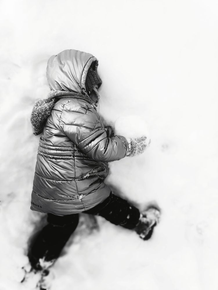 Photo #13391533