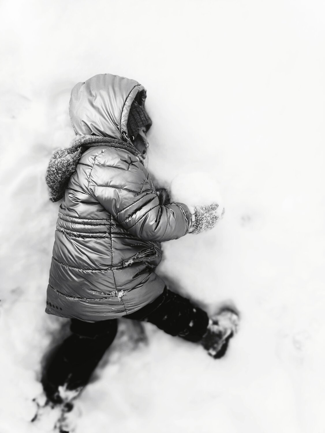 Photo #13391533