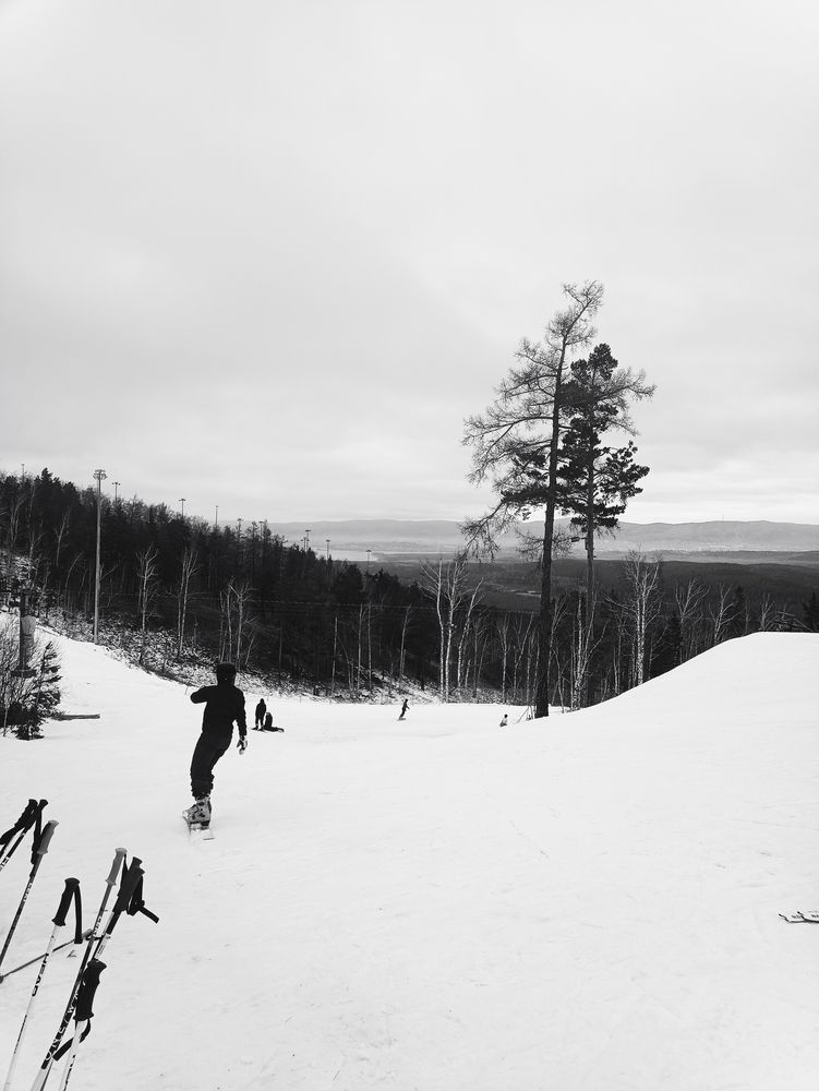 Photo #13391534