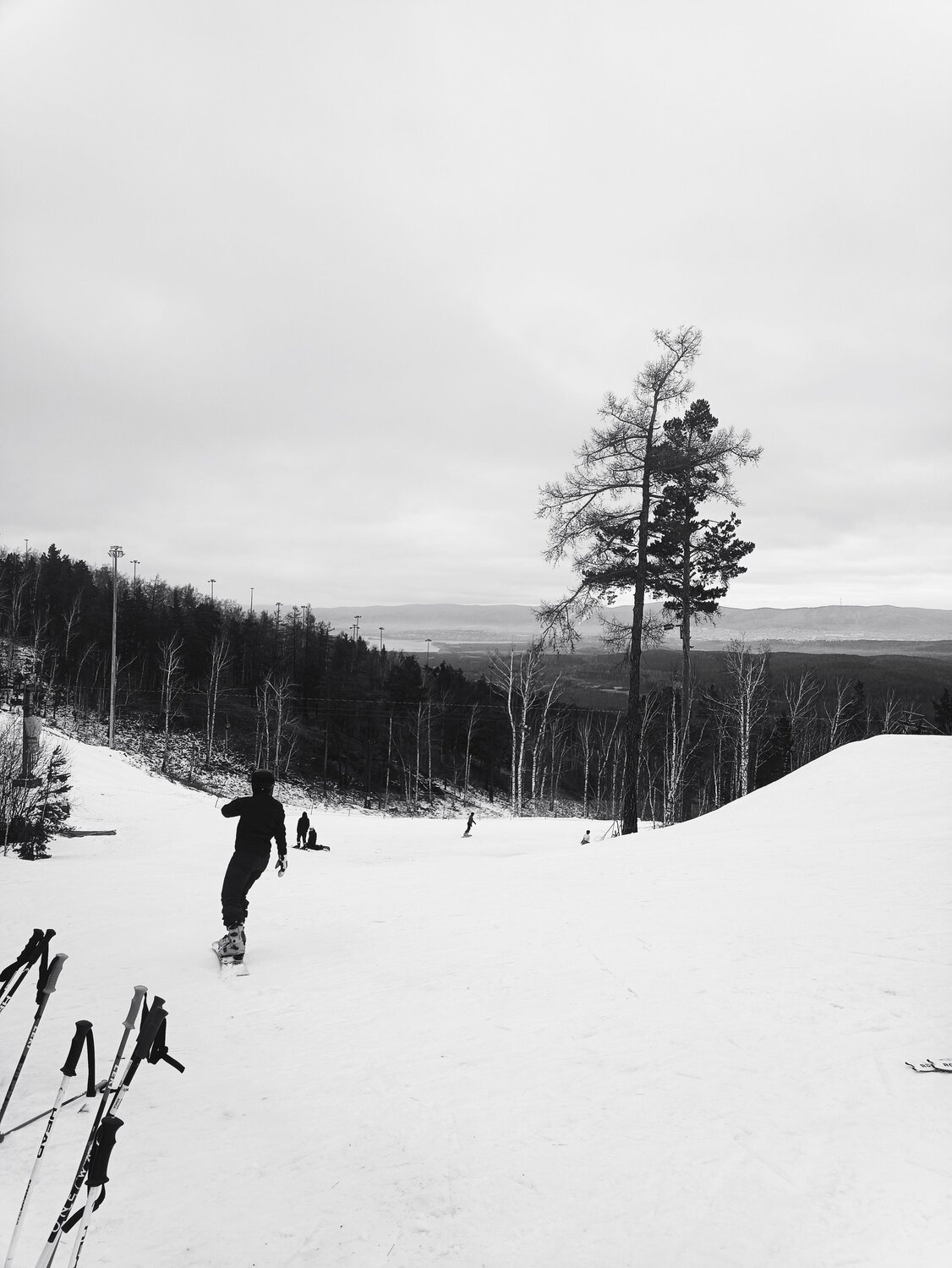 Photo #13391534